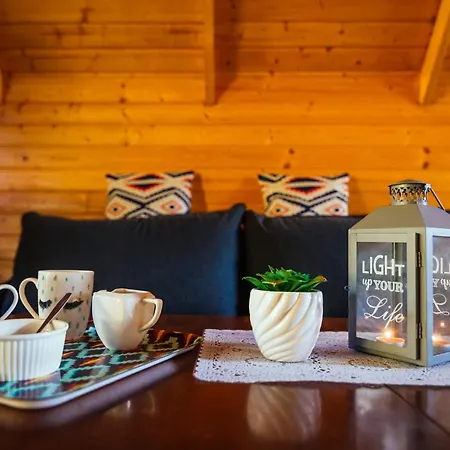 度假居 Dom Na Szlaku 维斯拉