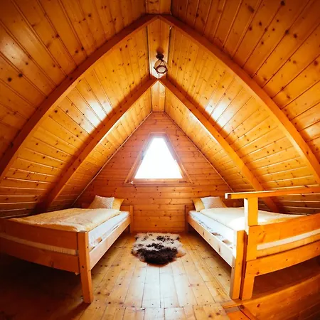 度假居 Dom Na Szlaku 维斯拉