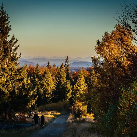 Dom Na Szlaku 维斯拉